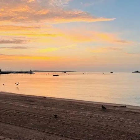 Palm - Brand New - Oasis Of Calm Apartment *