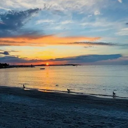 Palm - Brand New - Oasis Of Calm Apartment *