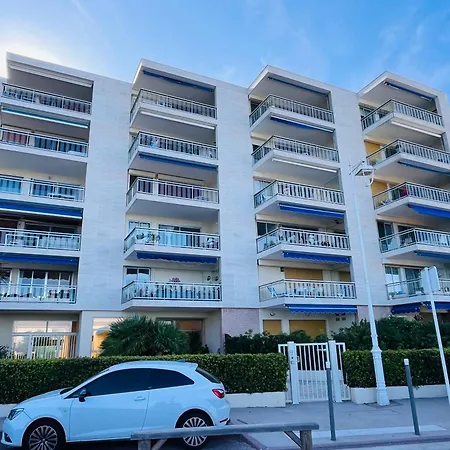 Palm - Brand New - Oasis Of Calm *