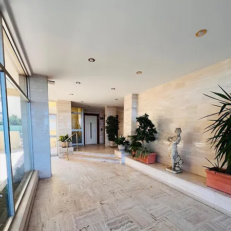 Palm - Brand New - Oasis Of Calm