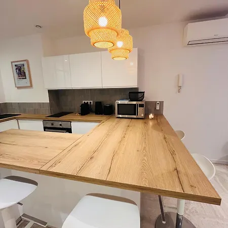 Palm - Brand New - Oasis Of Calm Cannes