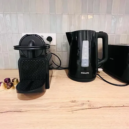 Palm - Brand New - Oasis Of Calm